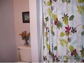 18 Stoney River Path Asheville NC 28804