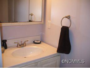 18 Stoney River Path Asheville NC 28804