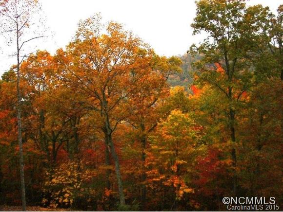 190 Harrison Hill Road Swannanoa NC 28778