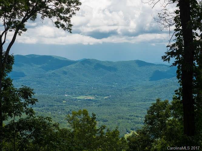 135 Kalmia Drive Asheville NC 28804
