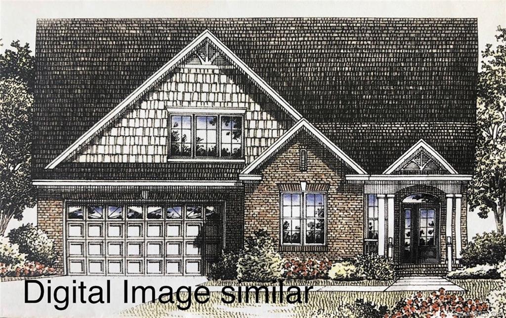 14302 Cameryn Elise Drive Cornelius NC 28031