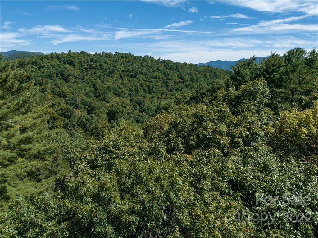 99999 Independence Boulevard Asheville NC 28805