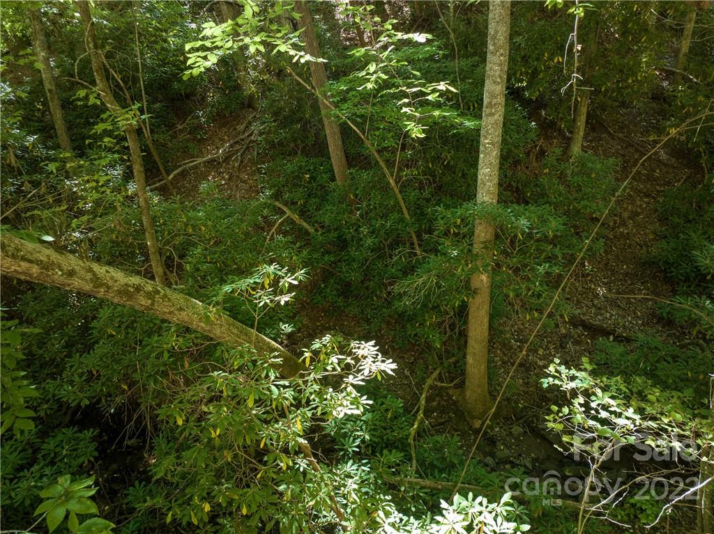 99999 Independence Boulevard Asheville NC 28805