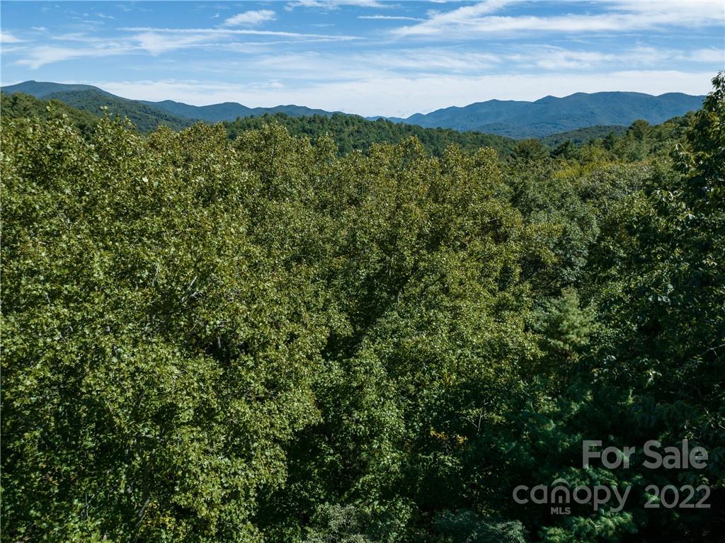 99999 Independence Boulevard Asheville NC 28805