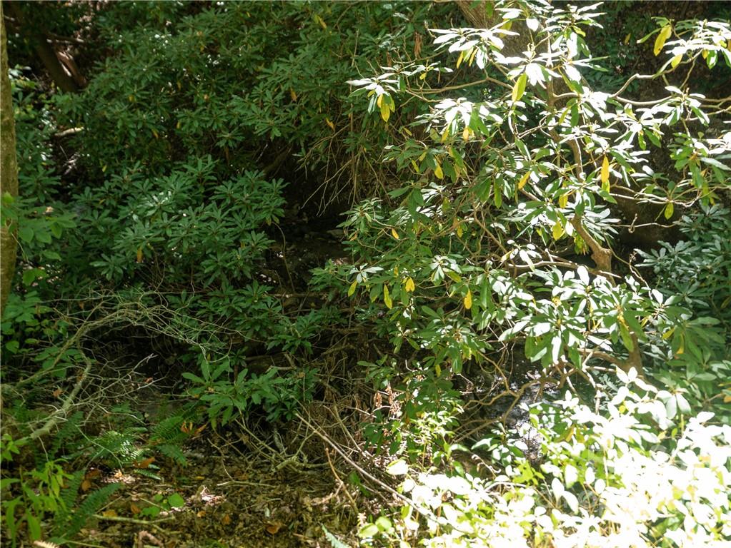 99999 Independence Boulevard Asheville NC 28805