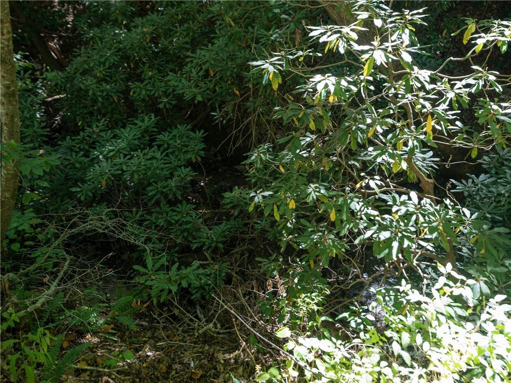 99999 Independence Boulevard Asheville NC 28805