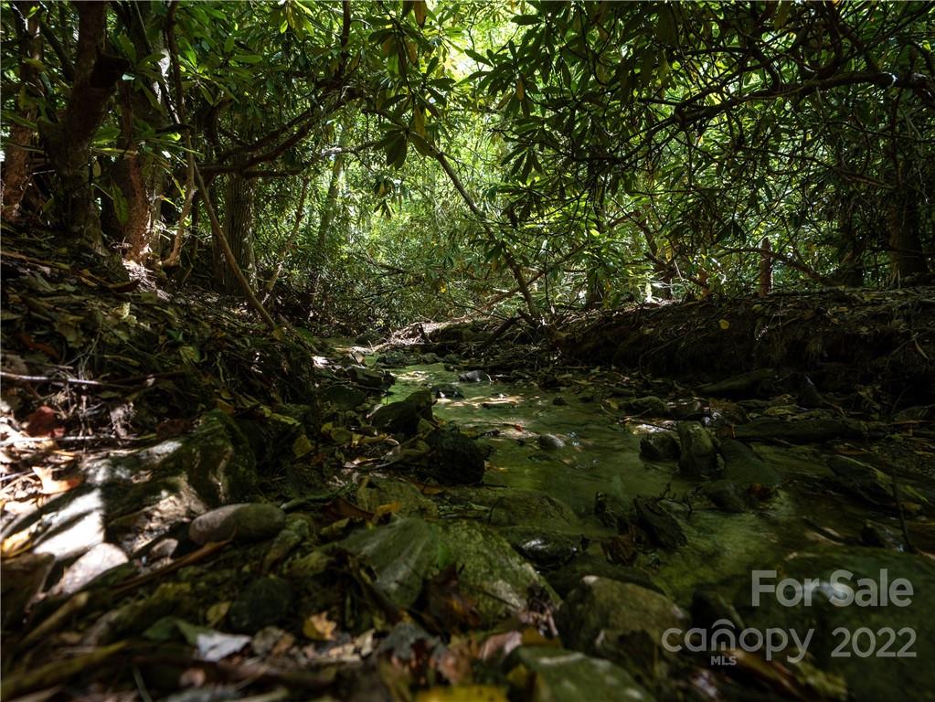 99999 Independence Boulevard Asheville NC 28805