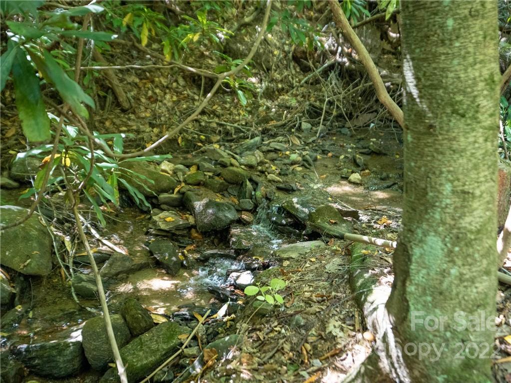 99999 Independence Boulevard Asheville NC 28805