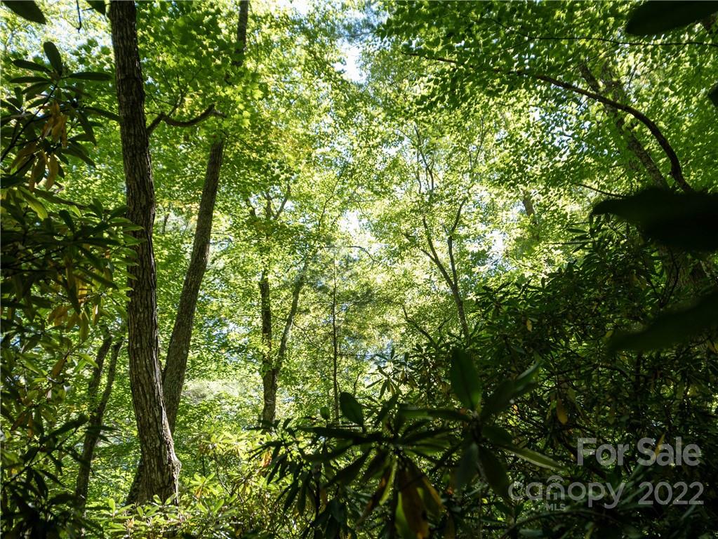 99999 Independence Boulevard Asheville NC 28805