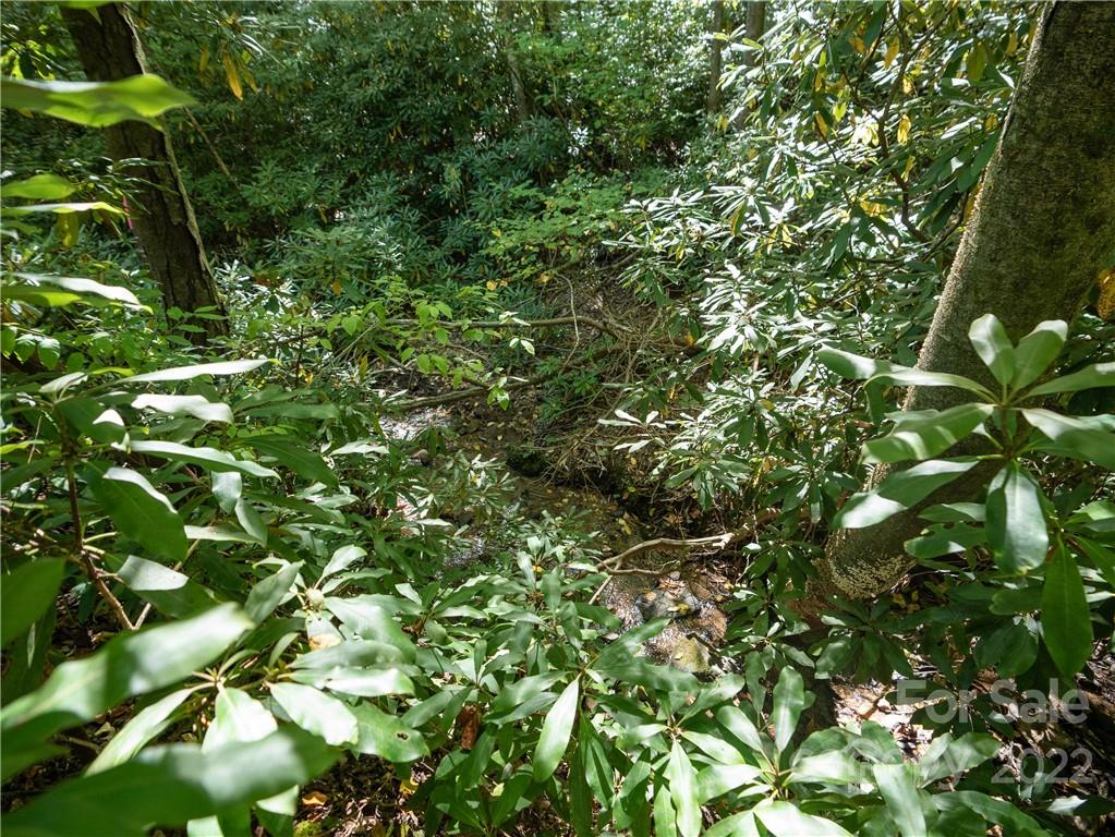 99999 Independence Boulevard Asheville NC 28805