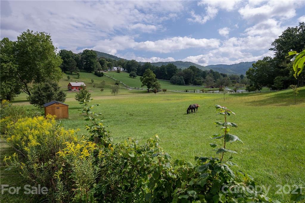 15 Buckner Way Fairview NC 28730