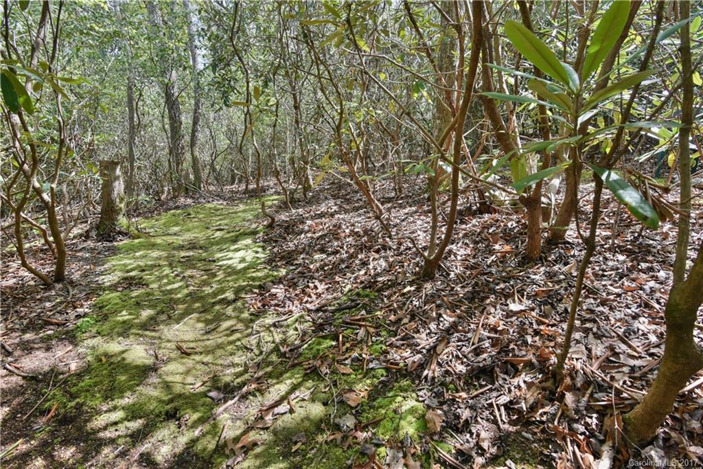 24 Whitaker View Road Fairview NC 28730