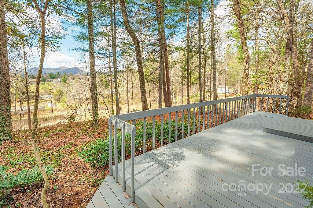427 Shadowwood Drive Leicester NC 28748
