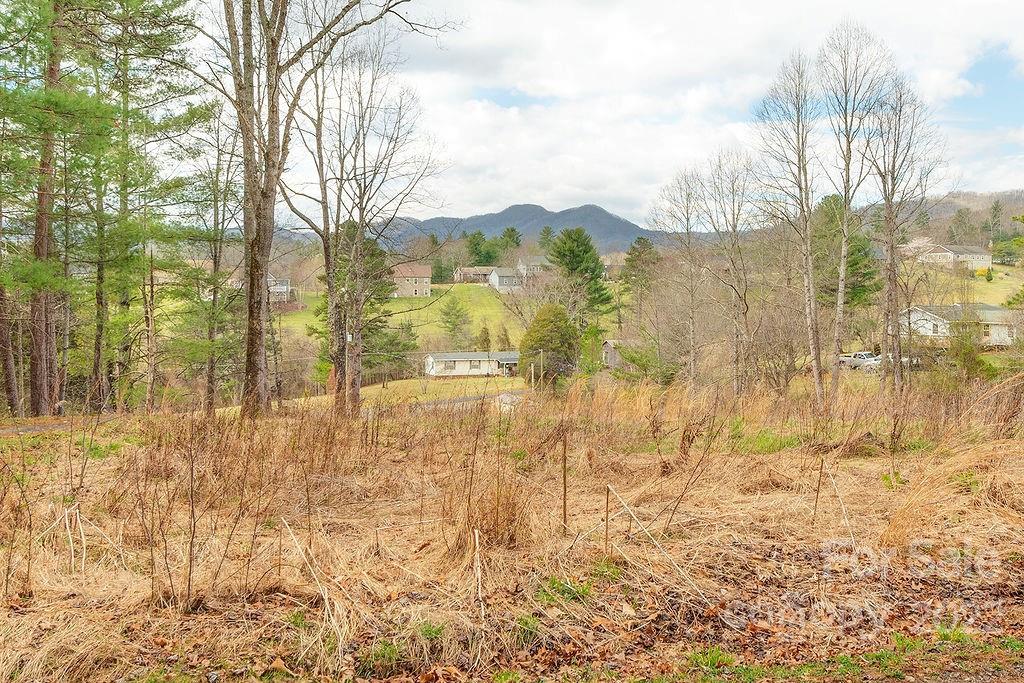 427 Shadowwood Drive Leicester NC 28748