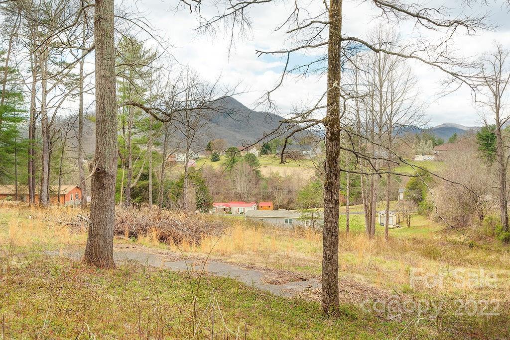 427 Shadowwood Drive Leicester NC 28748