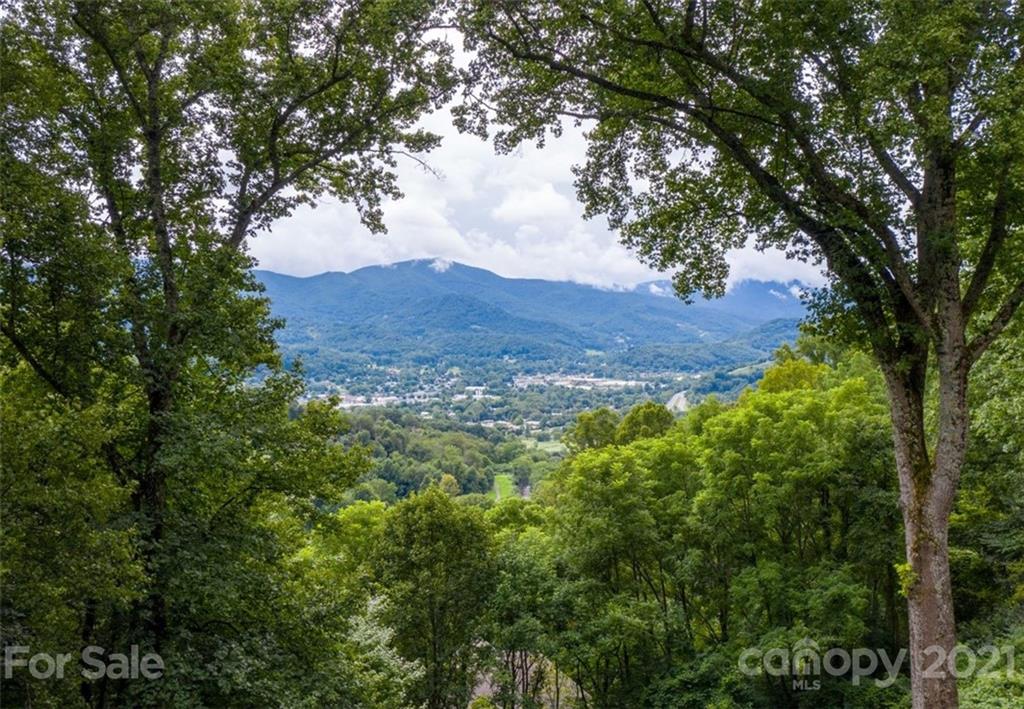 1169 Laurel Ridge Drive Waynesville NC 28786