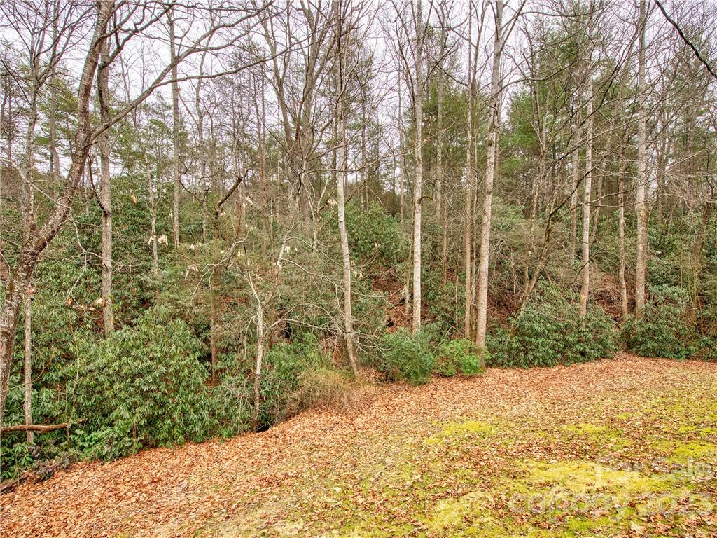 140 Bald Rock Road Hendersonville NC 28792