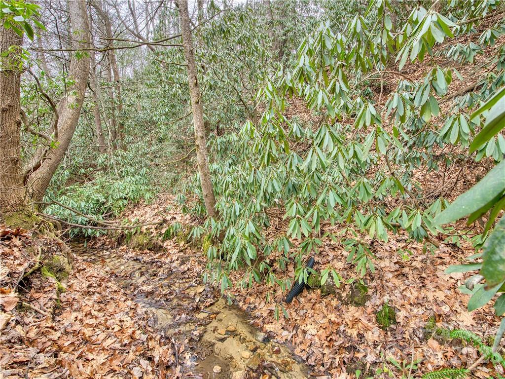140 Bald Rock Road Hendersonville NC 28792