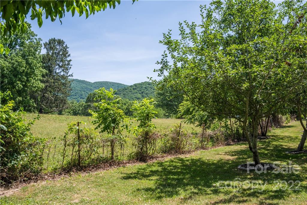 374 Buckeye Cove Road Swannanoa NC 28778