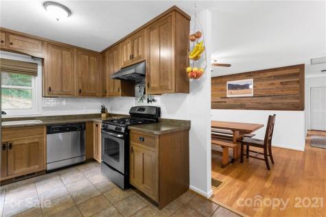 17 Clement Drive Asheville NC 28805