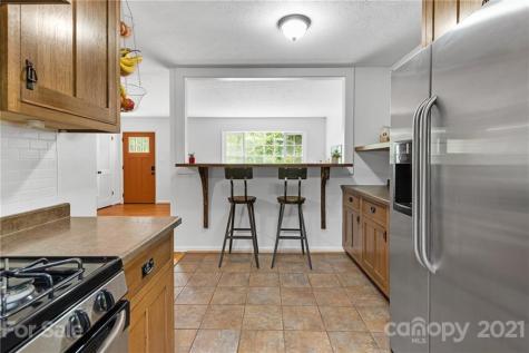 17 Clement Drive Asheville NC 28805