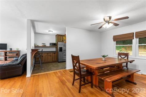 17 Clement Drive Asheville NC 28805