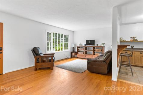 17 Clement Drive Asheville NC 28805