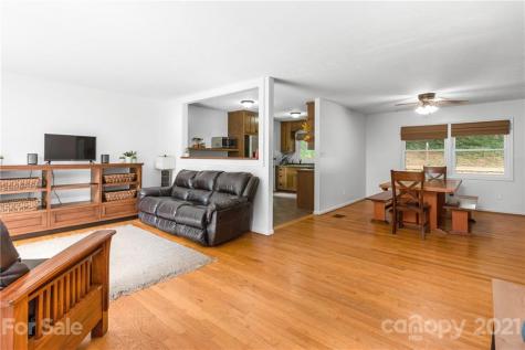 17 Clement Drive Asheville NC 28805