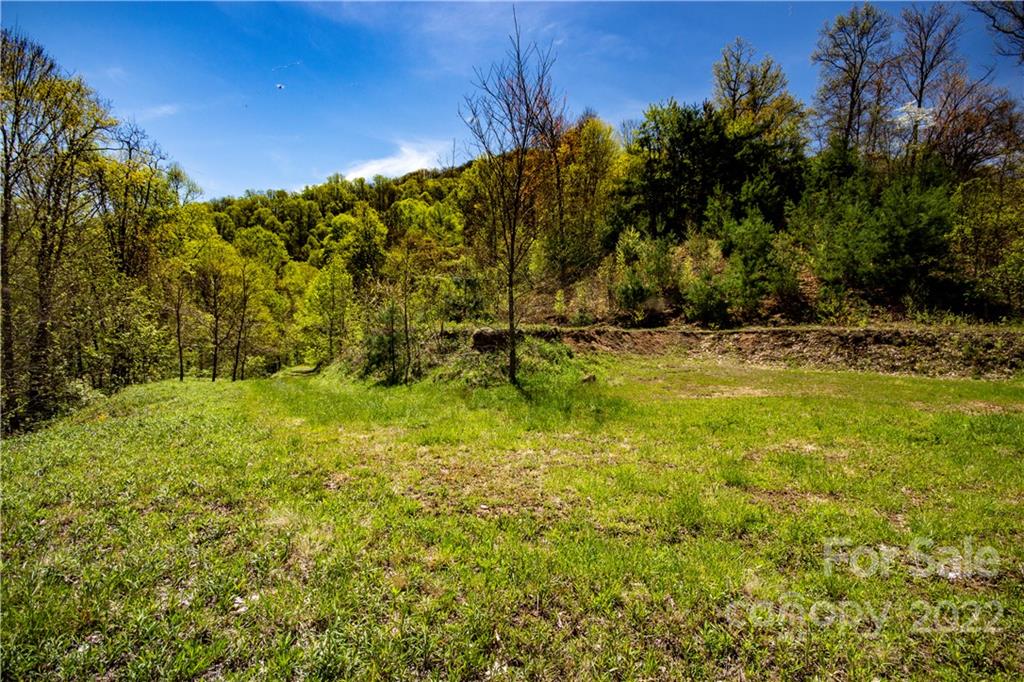 94 Leopard Drive Waynesville NC 28786