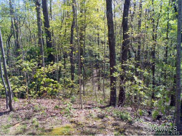 105 Blue Mountain Road Fairview NC 28730