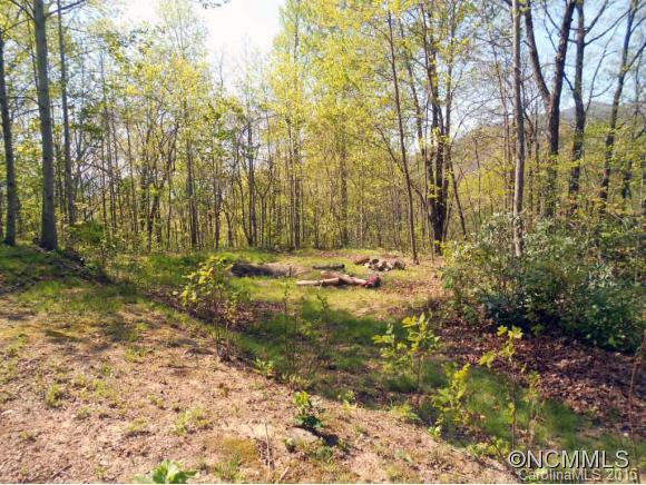 105 Blue Mountain Road Fairview NC 28730