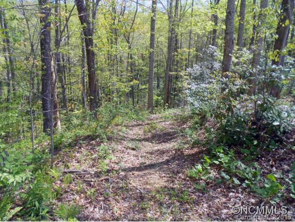 105 Blue Mountain Road Fairview NC 28730