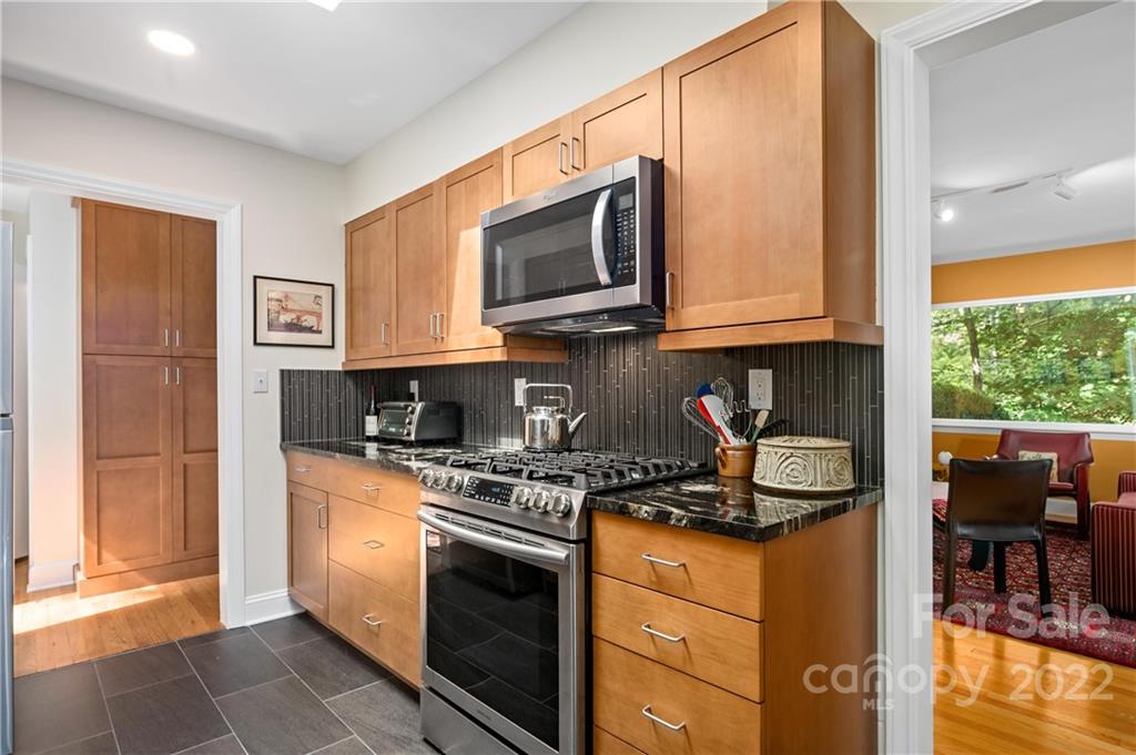 17 Maplewood Road Asheville NC 28804