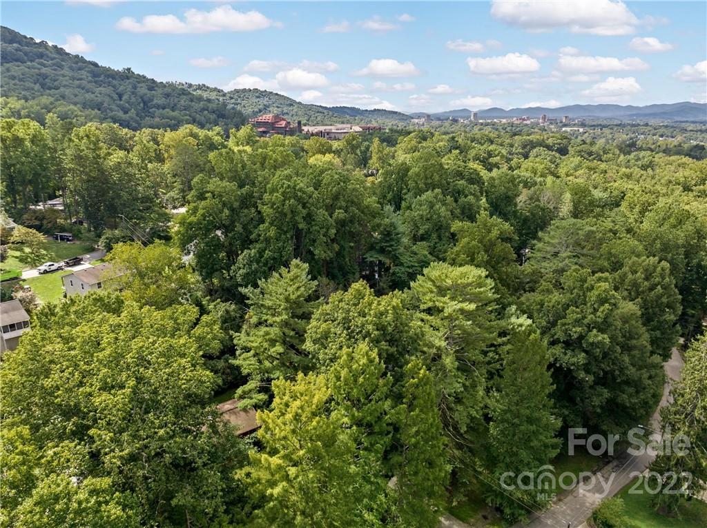 17 Maplewood Road Asheville NC 28804