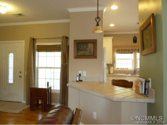 10 Mieko Drive Candler NC 28715