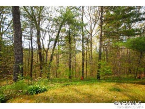 4 Kent Place Asheville NC 28804