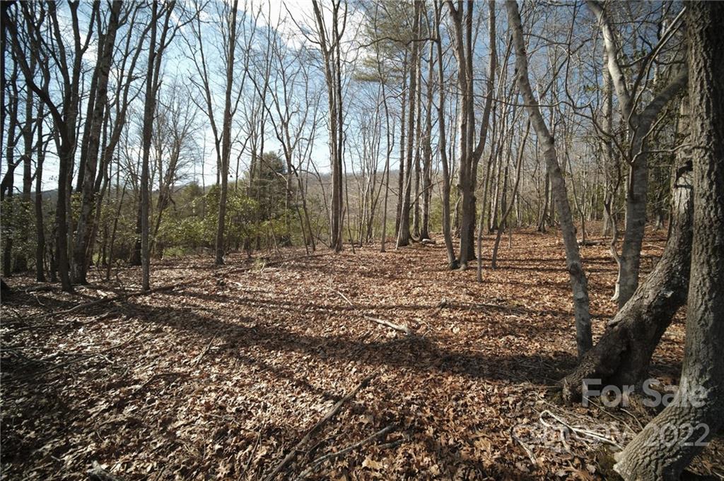 122 Jockey Hollow Drive Mills River NC 28759