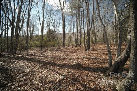 122 Jockey Hollow Drive Mills River NC 28759