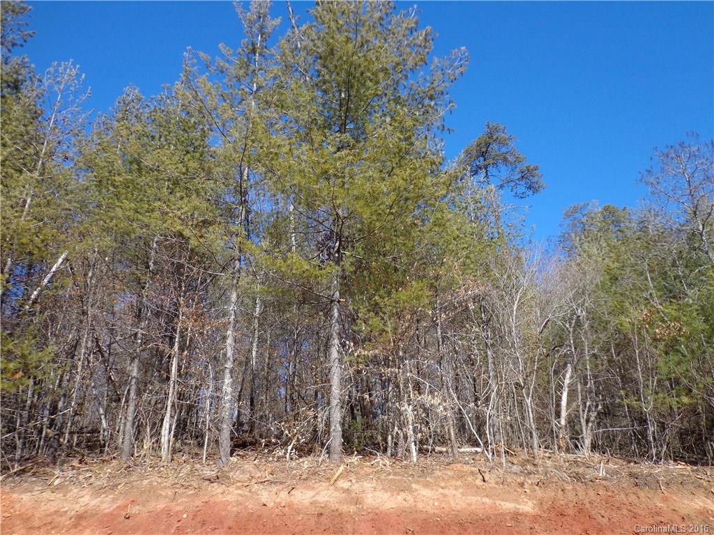 26 Retreat Place Weaverville NC 28787