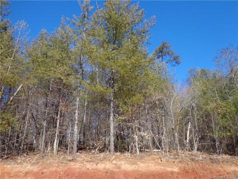 26 Retreat Place Weaverville NC 28787