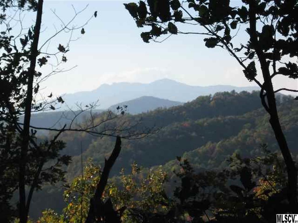 6975 Wallace Coffey Place Lenoir NC 28645