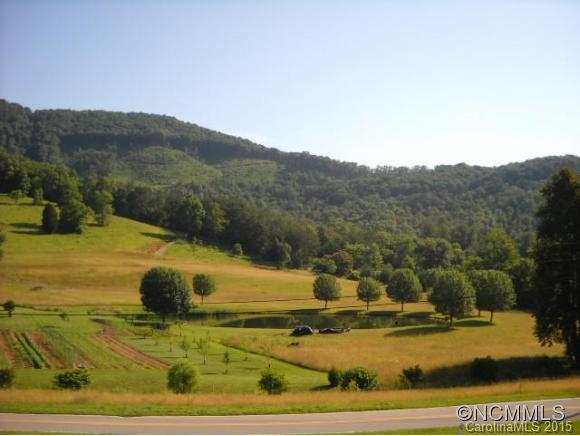 341 Curtis Creek Road Candler NC 28715