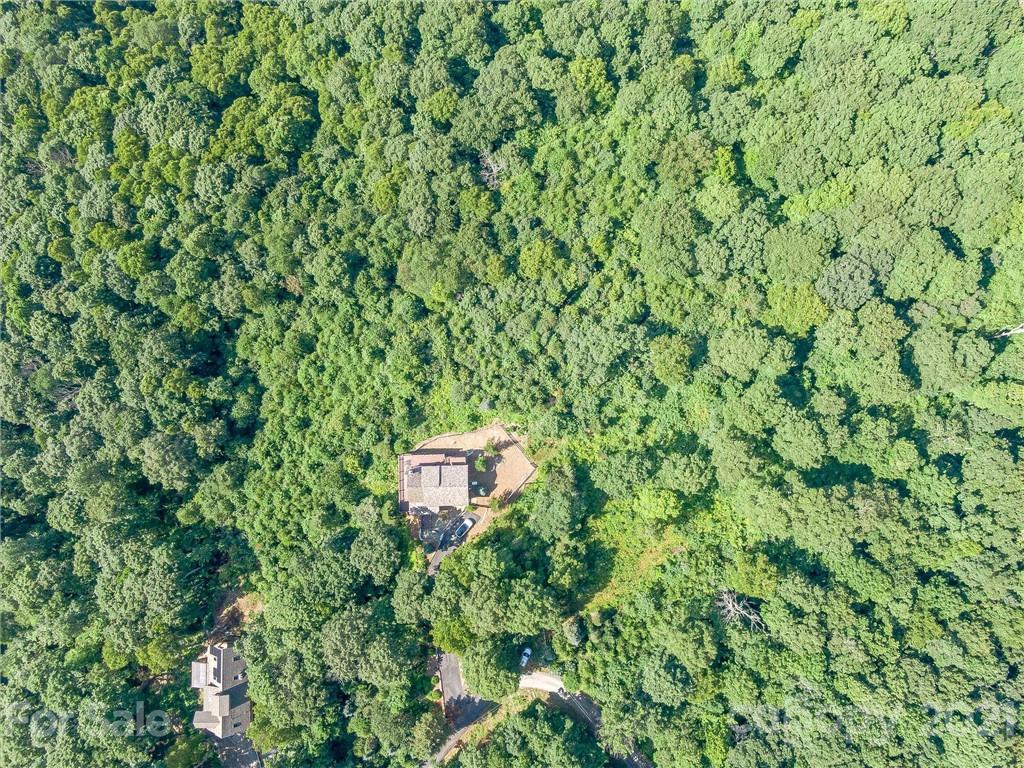190 Mountain Lily Ridge Drive Swannanoa NC 28778