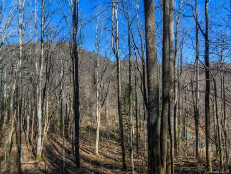1257 Fred Holcombe Road Mars Hill NC 28754