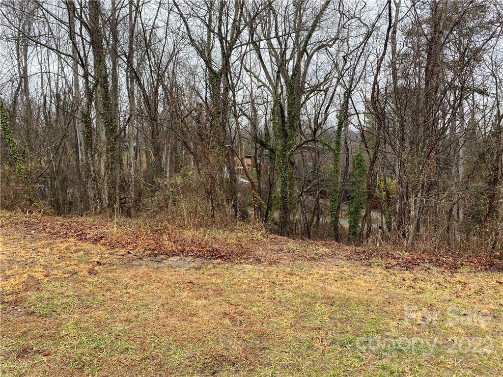 14 Snap Dragon Court Asheville NC 28804