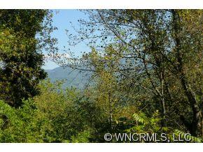 29 Annie Lane Asheville NC 28805