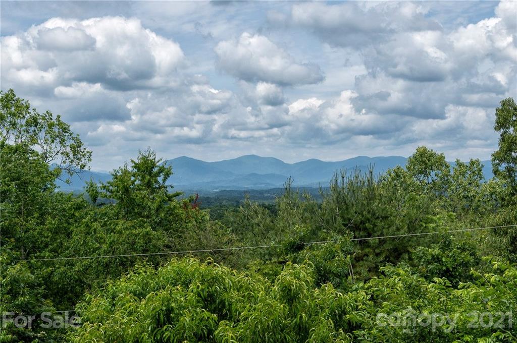 50 Hamburg Drive Weaverville NC 28787