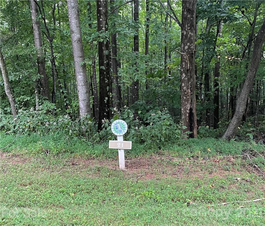 Lot 21 Feather Falls Trail Black Mountain NC 28711