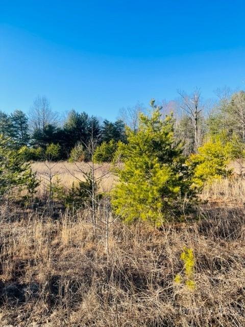 3774 Rhoney Farm Road Vale NC 28168
