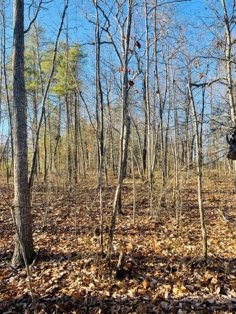 3774 Rhoney Farm Road Vale NC 28168